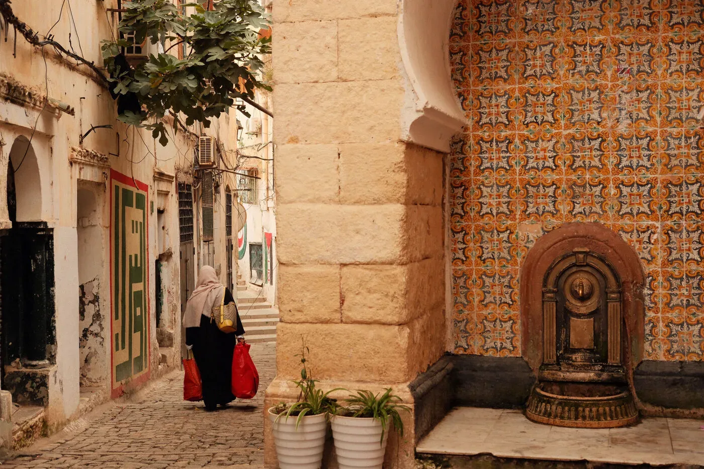 Les Mille Visages de l&rsquo;Algérie, des Empires aux Oasis